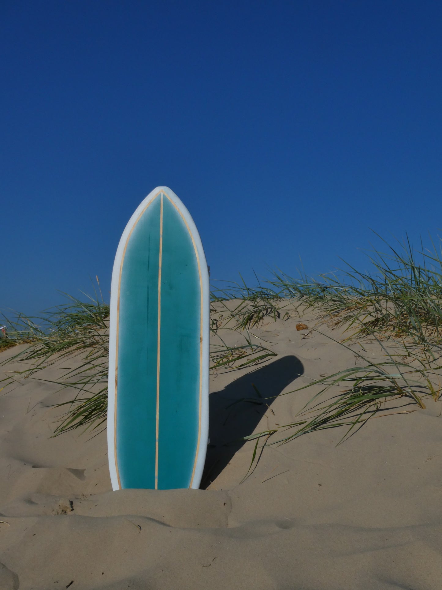 FLUX FISH BALANCE BOARD