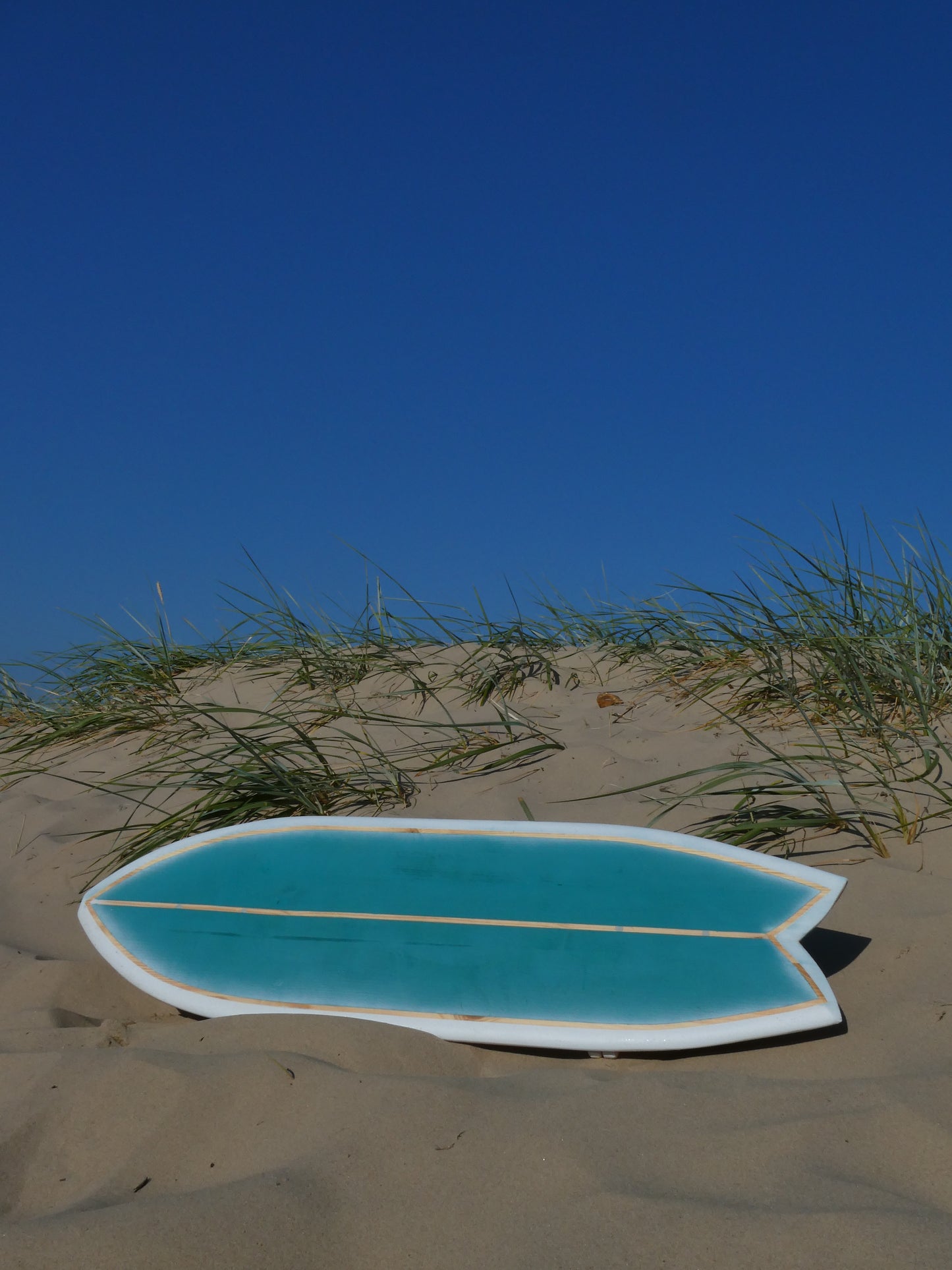 FLUX FISH BALANCE BOARD