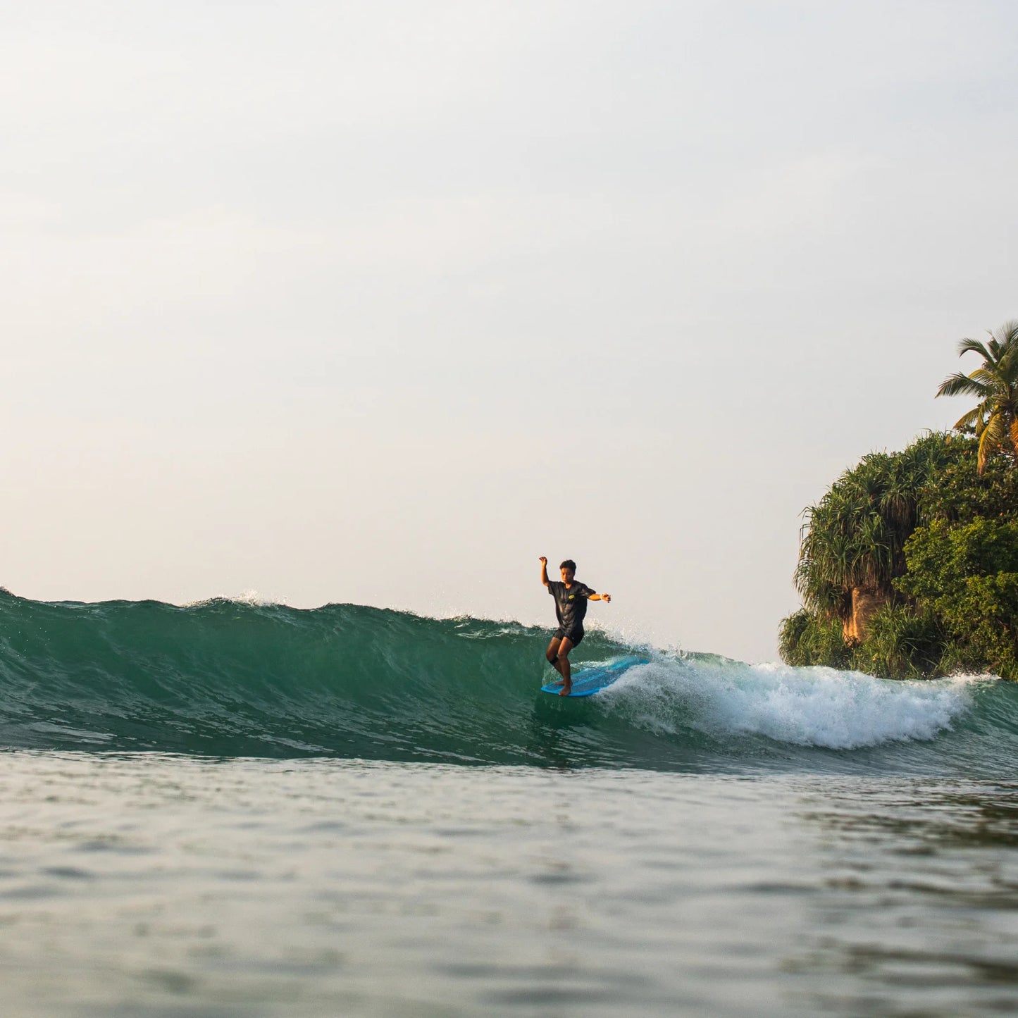 NSP Shapers Union Sleep walker HDT 9'2" - PINK