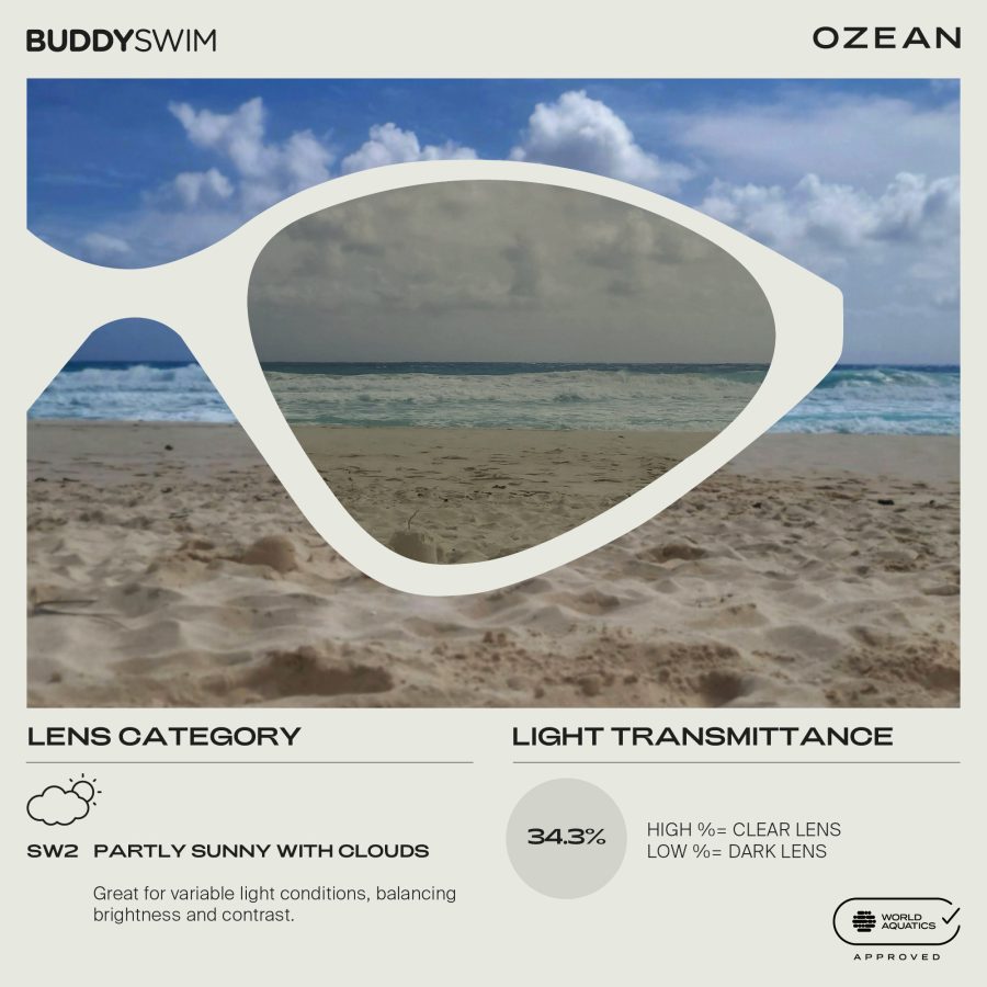 Buddyswim Ozean Swim Goggles